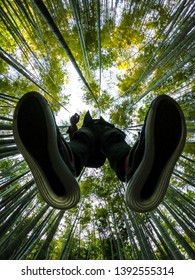 Learn Chinese Kung Fu In The Bamboo Forest