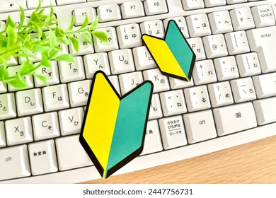 Learning about computers and the internet for the first time