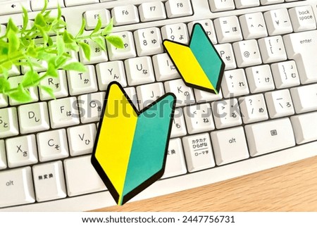 Learning about computers and the internet for the first time
