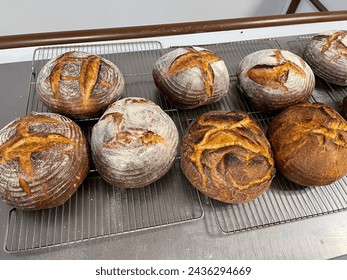 learning to cook artisan bread