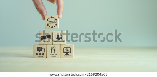 Learning Ecosystems Concept Building Blended Learning Stock Photo ...