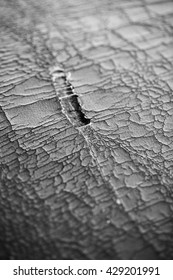 Leather absence background