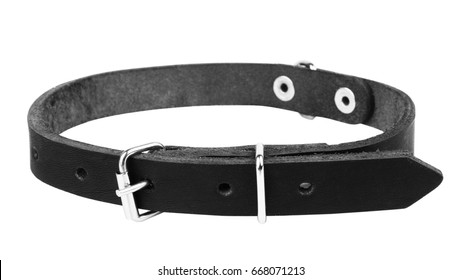 Leather Black Dog Collar On A White Background