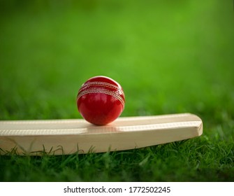 leather Cricket ball resting on a cricket bat placed on green grass cricket ground pitch