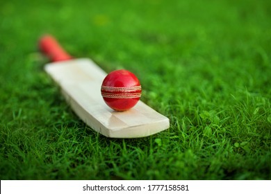 leather Cricket ball resting on a cricket bat placed on green grass cricket ground pitch - Powered by Shutterstock