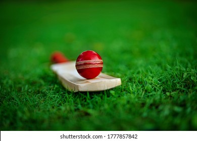 leather Cricket ball resting on a cricket bat placed on green grass cricket ground pitch - Powered by Shutterstock