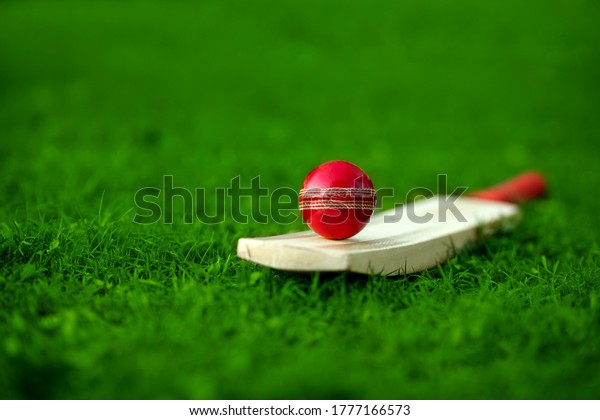 leather Cricket ball resting on a cricket\
bat placed on green grass cricket ground\
pitch