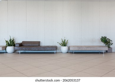 Leather daybeds, waiting area with plants and copyright space