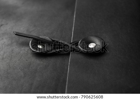 leather document case details