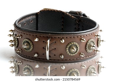 Leather Dog Collar With Spikes Isolated On White Background, Side View.