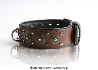 Leather Dog Collar With Spikes Isolated On White Background, Side View.