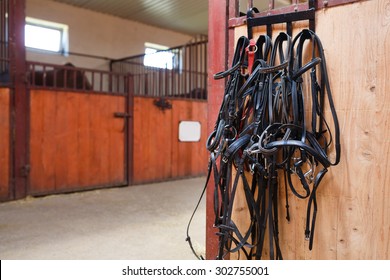 Leather horse bridles and bits hanging on wall of stable in sunrays