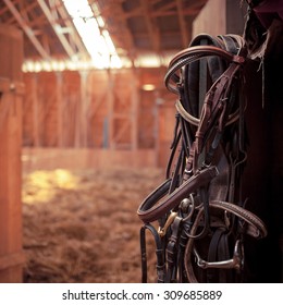 Leather horse bridles and bits hanging on wall of stable in sunrays
