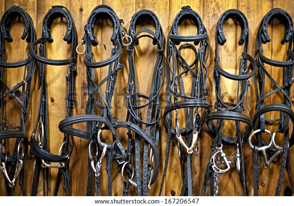 Leather\
horse bridles and bits hanging on wall of\
stable