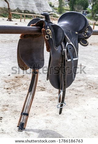 Similar – Image, Stock Photo Horse racing with carriage in the fog on the beach