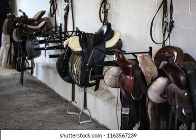 Leather Horse Saddles And Equipment Resting On Hangers In Tack Room