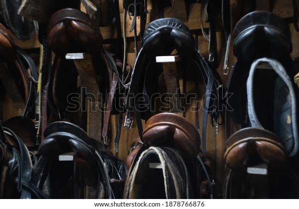 leather horse saddles\
hanging on the wall