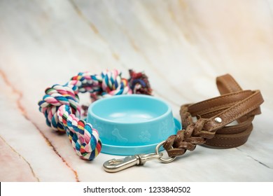 Leather leashes, food bowls and pet bites.  Pet supplies concept.