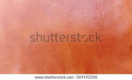 Leather Nackground and Texture