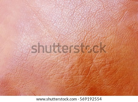 Leather Nackground and Texture