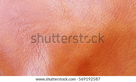 Leather Nackground and Texture