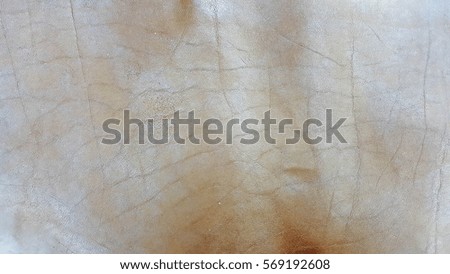 Leather Nackground and Texture