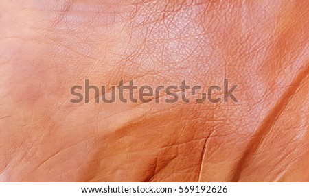 Leather Nackground and Texture