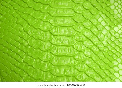 Leather Products. Green Leather