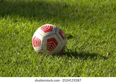 leather soccer ball for football sport on green grassy field - Powered by Shutterstock