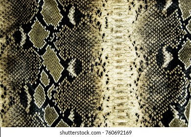 68,408 Snake skin Stock Photos, Images & Photography | Shutterstock