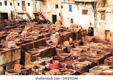 Leather Tannery In Fez, Morocco