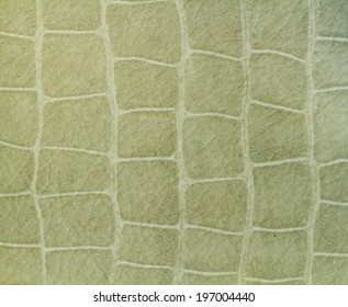 Leather texture