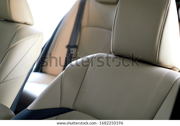 leather upholstery in the new\
car