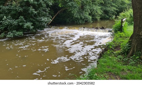 Leatherhead To Box Hill Via The River Mole 