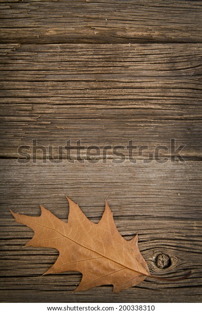 leave on a wooden\
background