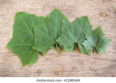 leaves