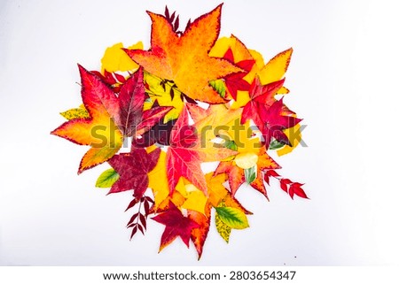 Leaves across leaves and leaf pattern. Leaves beside leaf arrangement. Autumn decoration with autumn texture. Isolated fall design.