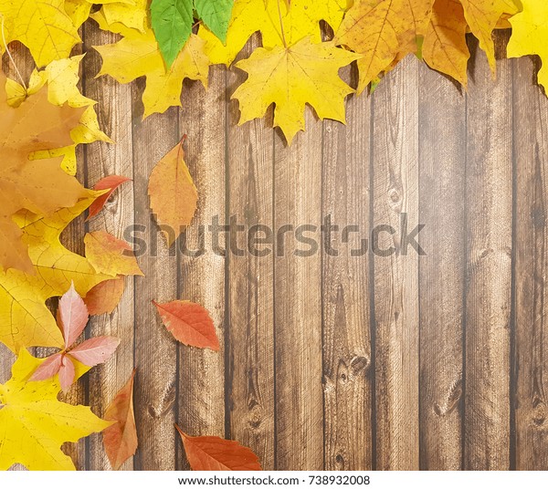 leaves autumn frame\
wooden