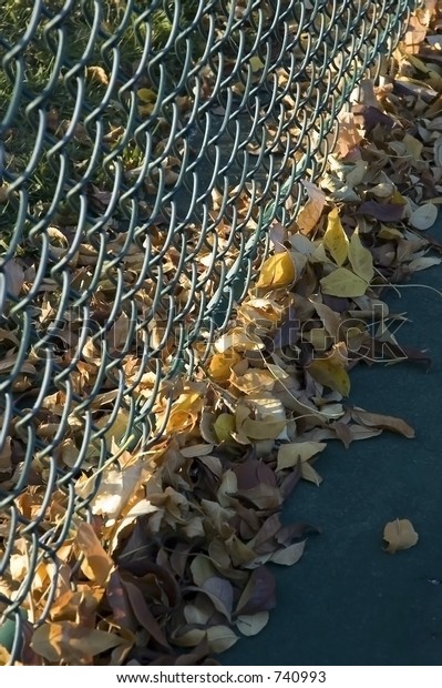 Leaves blown against\
fence on tennis court