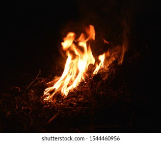 Leaves burning in open fire, photo - Shutterstock ID 1544460956