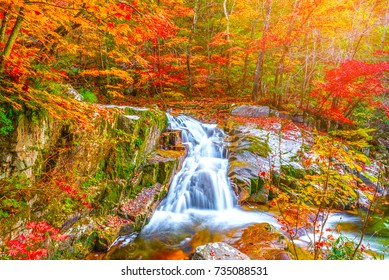 Leaves change color and waterfall at Bangtaesan Mountain,Inje Gangwondo South Korea. - Powered by Shutterstock