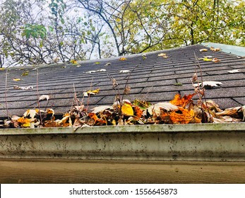 Leaves clog a house’s rain gutter in the fall