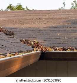 Leaves Clogged In Dirty Old Gutters