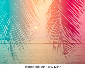 leaves coconut tree with summer on the beach,made with Vintage Tones,Warm tones