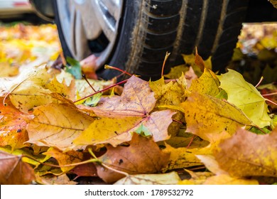leaves danger of slipping in autumn