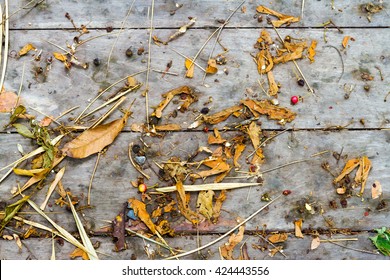 Leaves dry and fall down on wood background