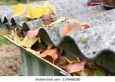 Leaves in eaves. Cleaning gutter blocked with autumn leaves.