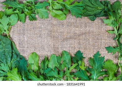 Leaves of fresh arugula, green chard, spinach and mizuna laid out on the burlap and located around the perimeter, background