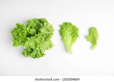 Leaves Of Fresh Lettuce On White Background, Top View. Salad Greens