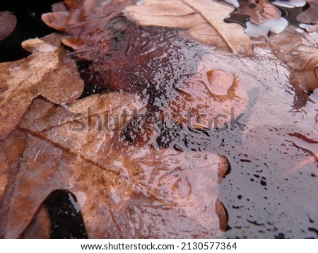 #A# Herbstwasser Umwelt